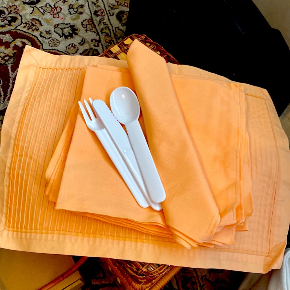 Vintage picnic basket blue liner